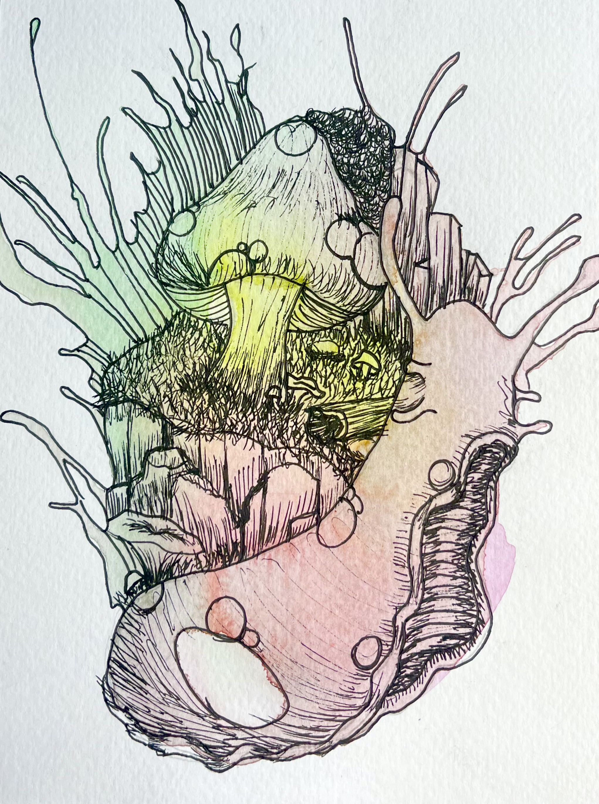 Whimsical Slug